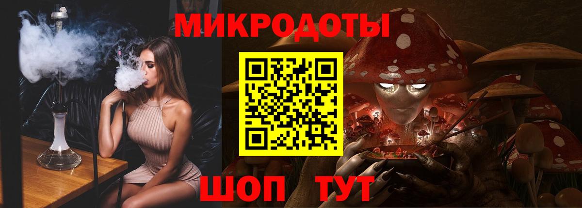 Галлюциногенные грибы Psilocybine cubensis Новомосковск
